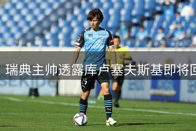 瑞典主帅透露库卢塞夫斯基即将回归国家队